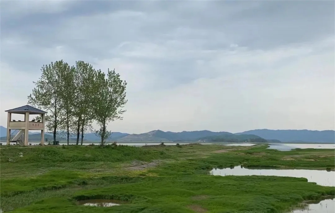 安徽安庆菜子湖国家湿地公园生态旅游招商项目